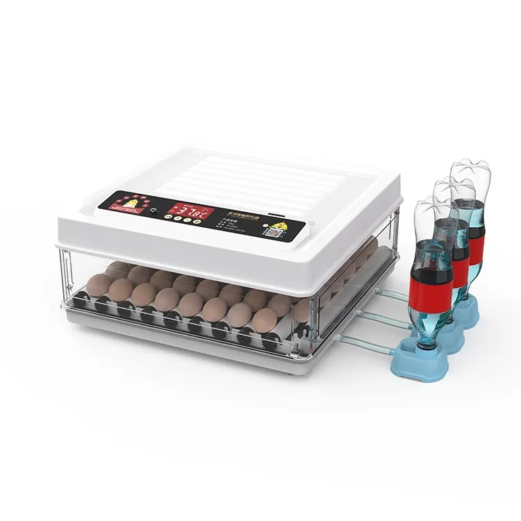 Img